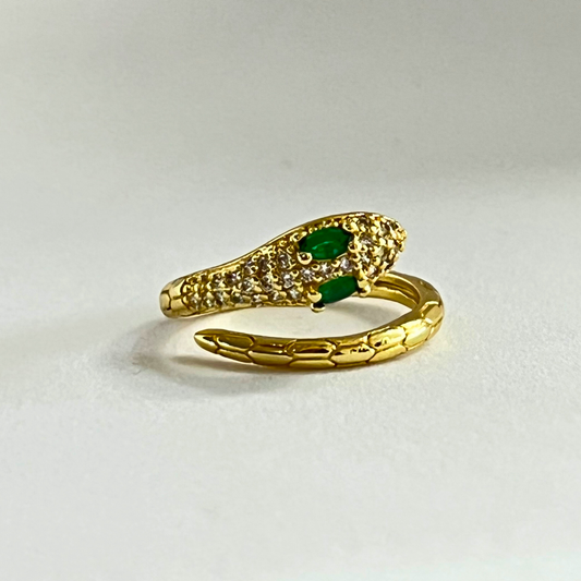 Anillo snake